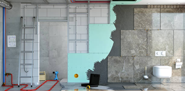 Best Attic Mold Removal  in Vandalia, MO