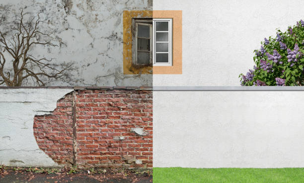 Best Black Mold Removal  in Vandalia, MO